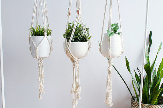 Macrame Plant Hanger