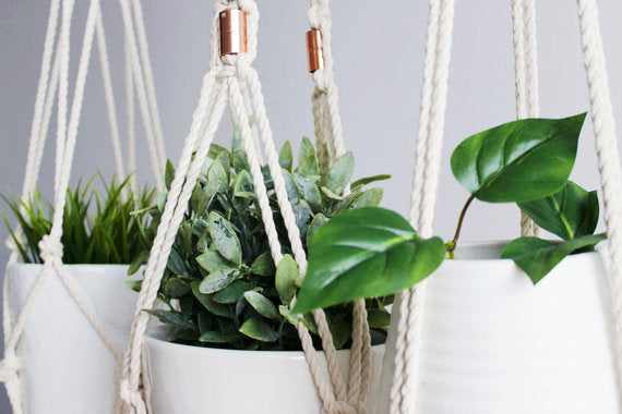Macrame Plant Hanger