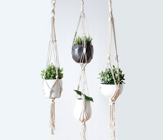 Macrame Plant Holder