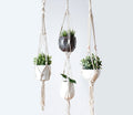 Macrame Plant Holder