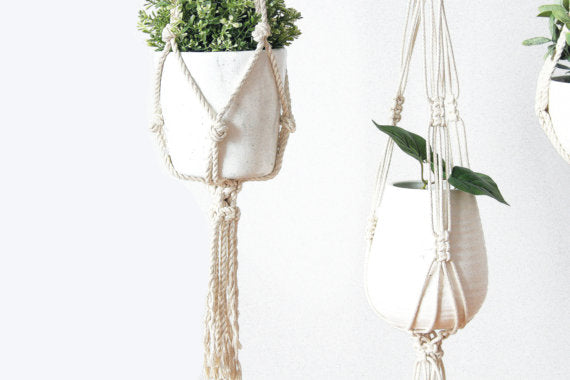 Macrame Plant Holder