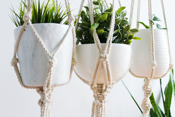 Macrame Plant Hanger